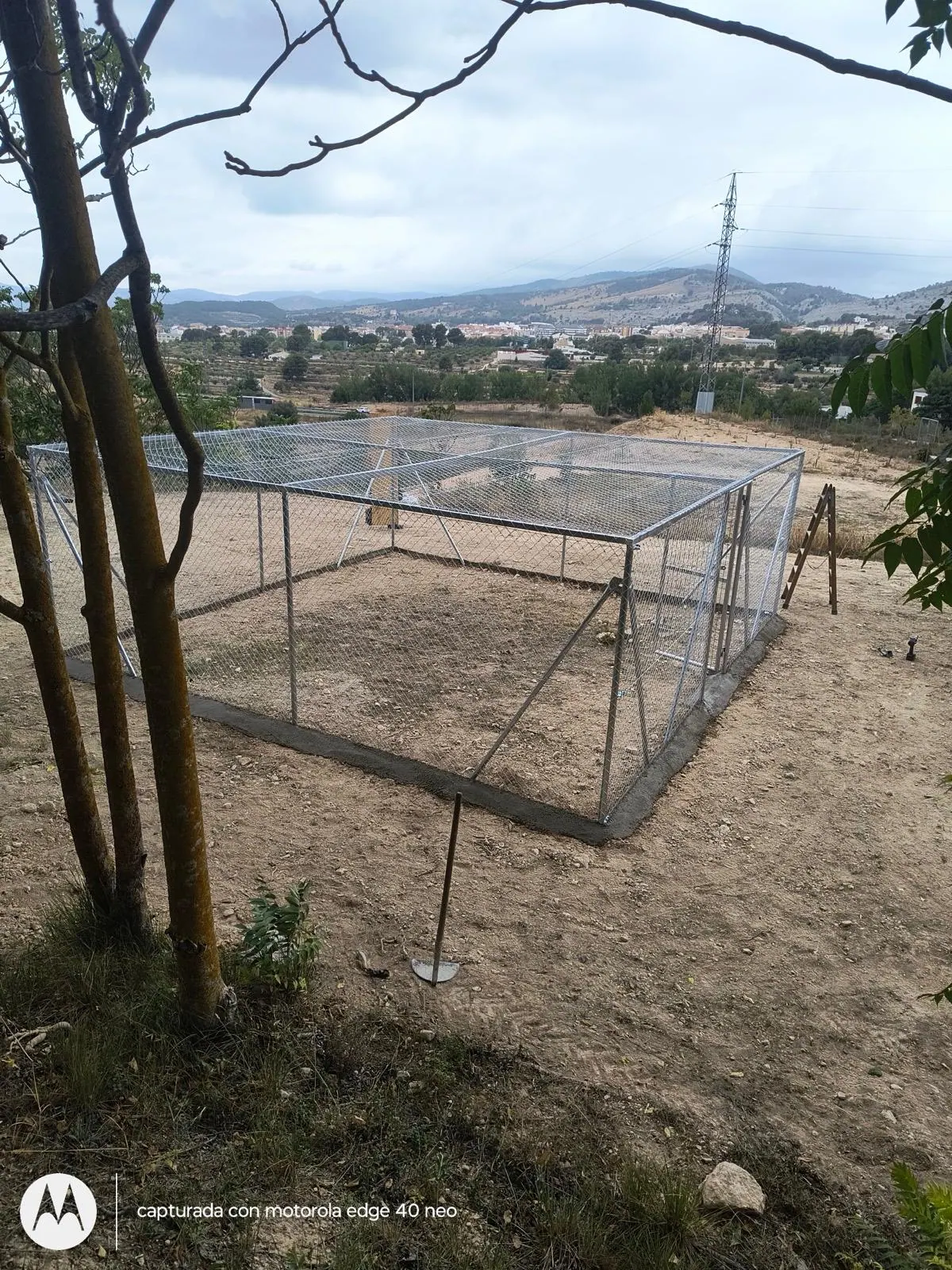 Perrera grande de malla con techo